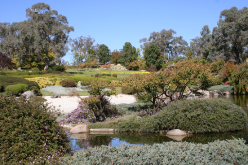 Japanese Garden