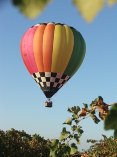 The Vineyard Motel Guests Ballooning.