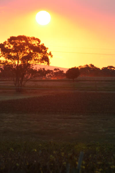 Setting Sun at the Vineyard Motel